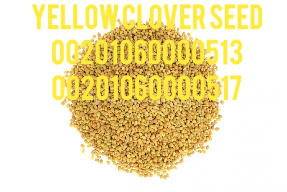 Egyptian zero clover seed export company from Egypt